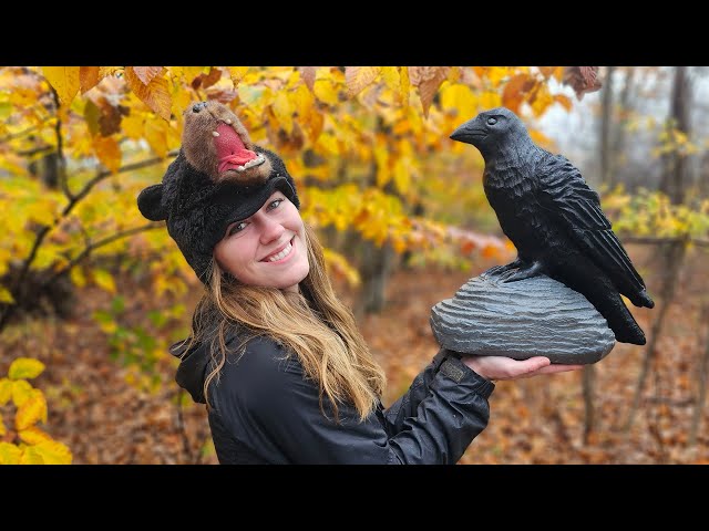 Chainsaw Carving a Crow for HALLOWEEN 🎃