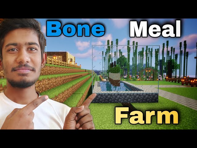 Bone meal farm without skeleton ! Minecraft Survival Gameplay part#29 || MINECRAFT ||