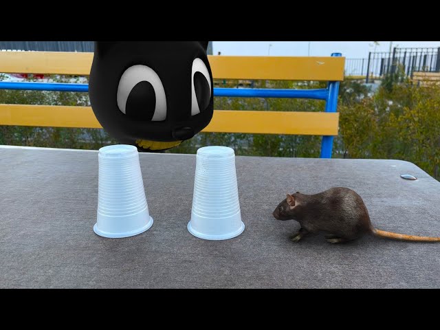 Cartoon Cat met a mouse In Real Life! (animation)