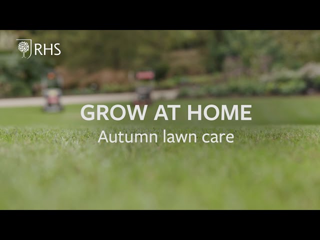 How to care for your lawn in autumn | Grow at Home | RHS