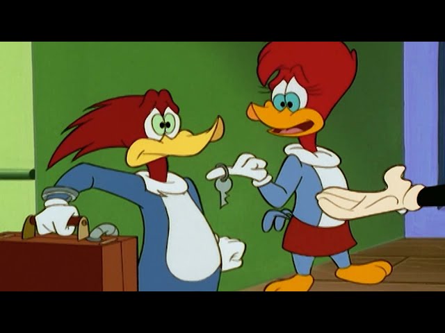 Woody Woodpecker | The Spy Game | 3 Full Episodes