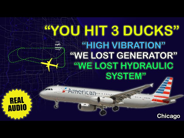 Multiple failures. American Airbus A321 hit 3 ducks on takeoff from Chicago. Real ATC