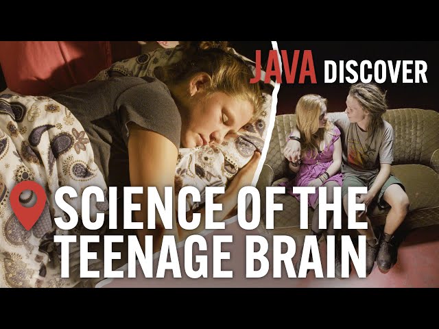 The Science of Teenage Brains: A Biological Miracle | Understanding the Adolescent Brain Documentary