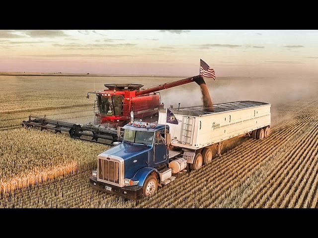 Welker Farms 2016 - Part 3 - Harvest