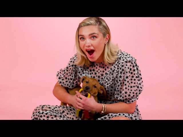 Florence Pugh: The Puppy Interview