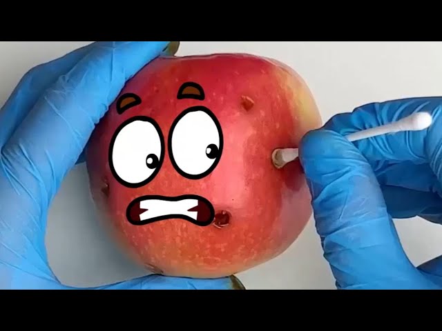 Fruitsurgery (WORLD OF DOODLES) | Funny video with Doodles #fruitsurgery