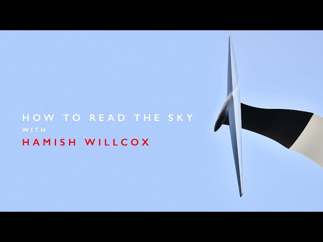 HOW TO READ THE SKY WITH HAMISH WILCOX
