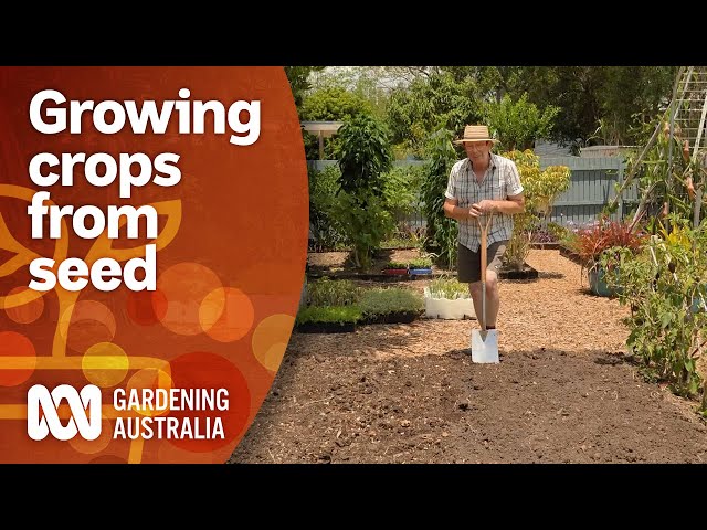 How to create the perfect seed bed for crop success | Gardening 101 | Gardening Australia