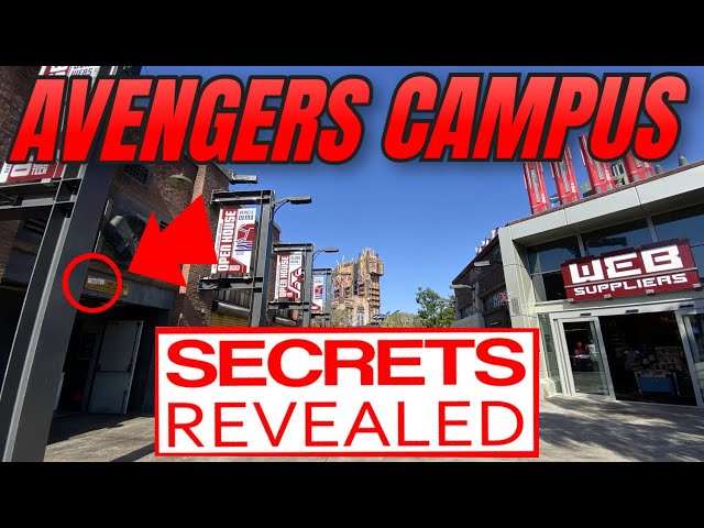 Disney's Avengers Campus SECRETS REVEALED