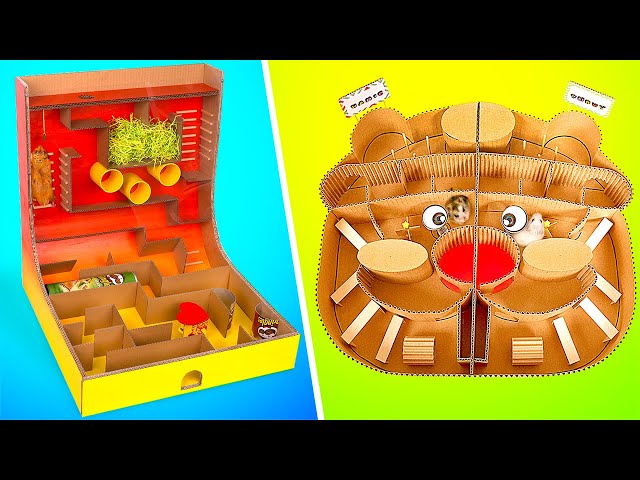 Super Fun DIY Hamster Maze And Race From Simple Cardboard!