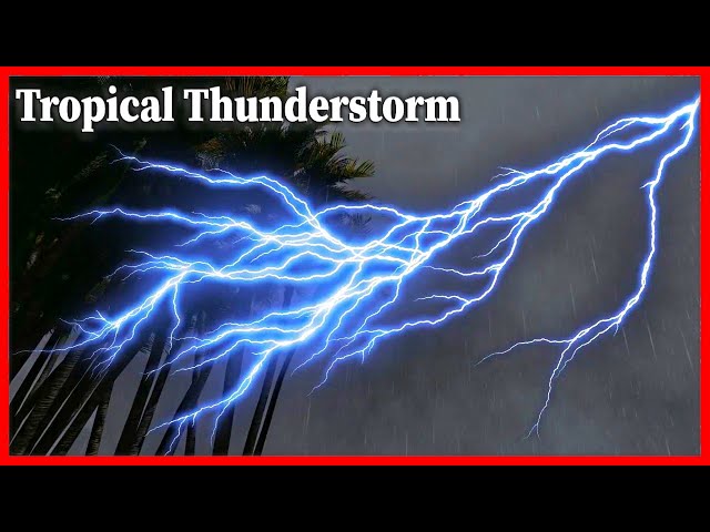 Tropical Thunderstorm, Thunder Wind and Rain Sounds for Sleeping, Nature Sounds