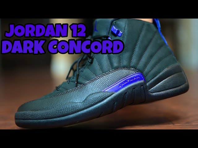 JORDAN 12 DARK CONCORD REVIEW AND ON FEET!