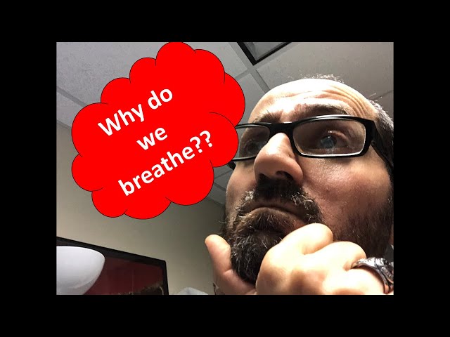 Why we need to breathe, explained! (Cellular Respiration)