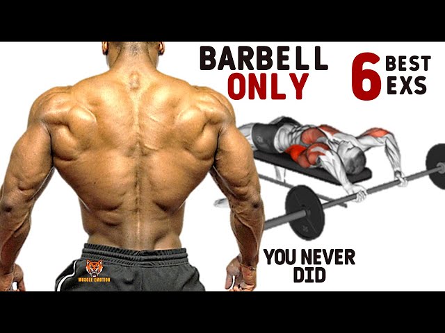 6 BEST BACK EXERCISES WITH BARBELL ONLY THAT YOU NEVER DID