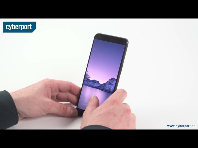 ASUS ROG Phone 5 im Test | Cyberport