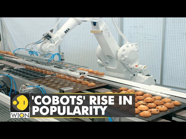 WION Fineprint | Collaborative robots set to transform food industry | World News