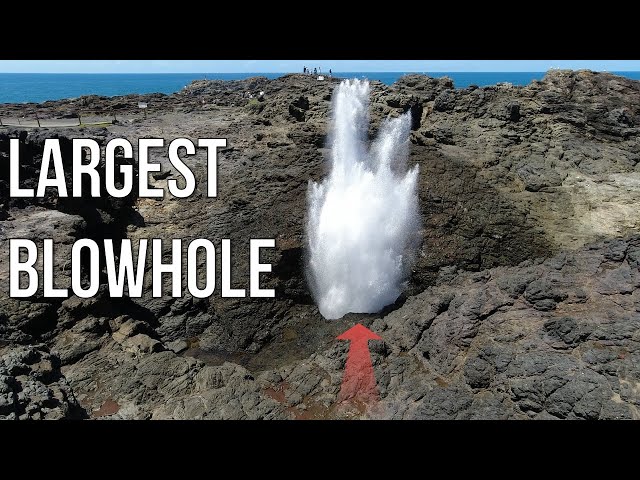 Risky Kiama Blowhole Walk | Largest Blowhole in the World!