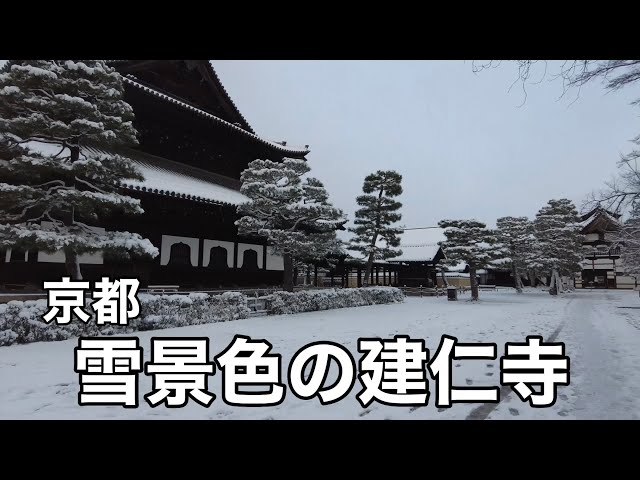【4K】2023年1月25日 京都祇園 雪景色の建仁寺を歩く Touring Snow Kyoto,Japan