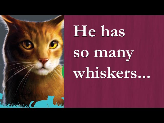 Onewhisker's name makes NO SENSE! (Warrior Cats)