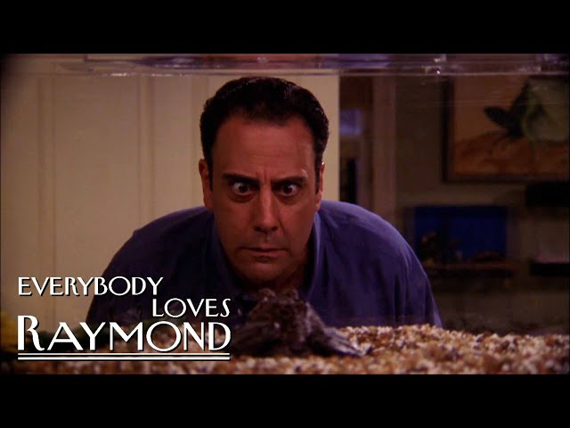 Angela LOVES Frogs | Everybody Loves Raymond