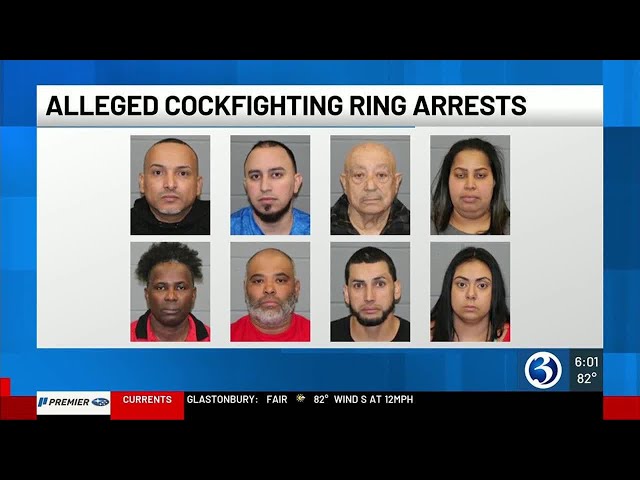 Police bust alleged cockfighting ring in Waterbury