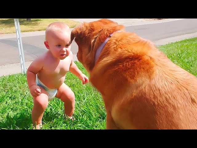 Baby and Dog 👶🐶 Who Is More Naughty?