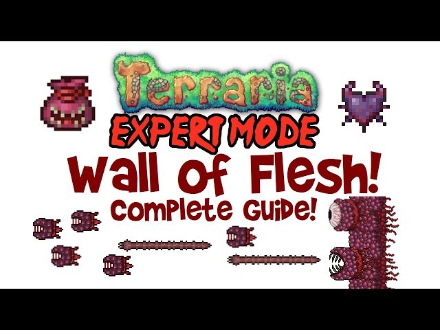 Terraria Wall of Flesh Expert Mode Guide (& Normal Mode too! Drops, Spawning, Demon Heart & More!)