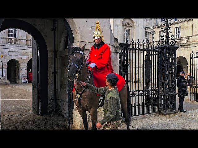 SATURDAY MELTDOWN as HORSE QUITS on the spot when he sees tourist crowd at Horse Guards!