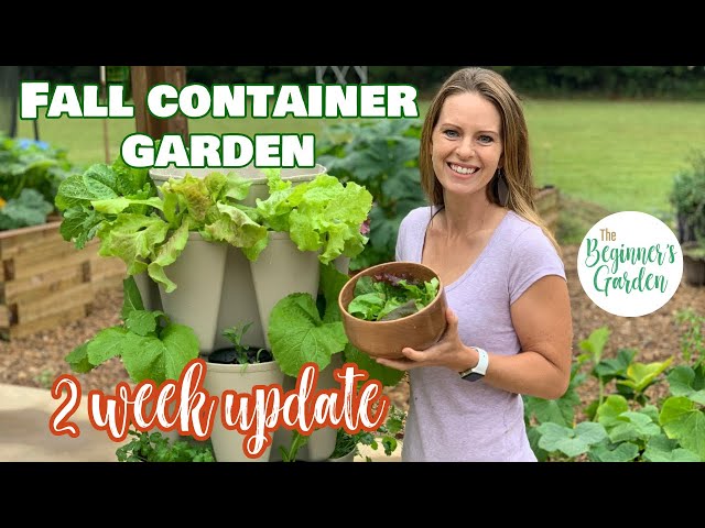Fall Container Garden with the Greenstalk Vertical Planter -- 2 Week Update