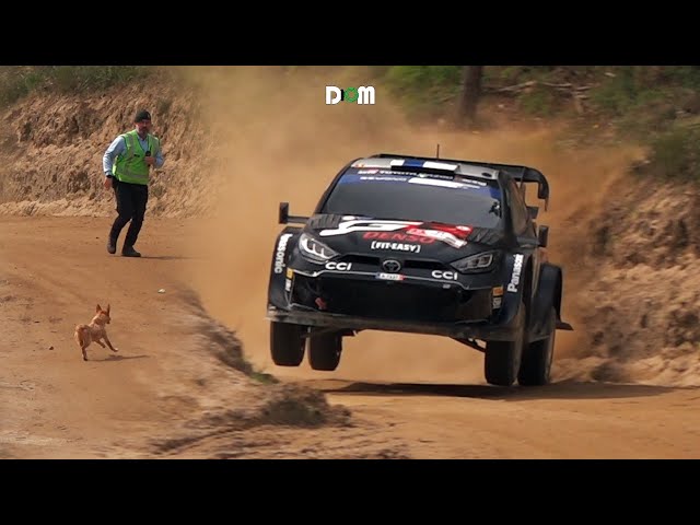 WRC RALLY PORTUGAL 2024⚠️