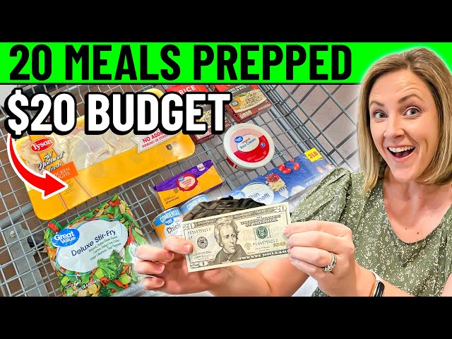 Budget Meal Prep 20 Meals for $20!