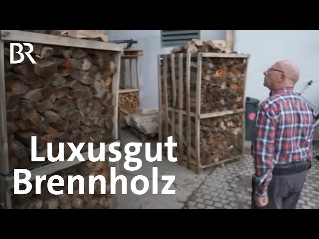 Lange Lieferzeiten, explodierende Preise: Brennholz wird zum Luxusgut | Schwaben & Altbayern | BR