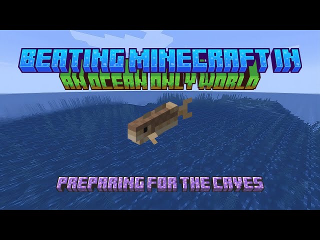Preparing for the Caves | Beating Minecraft in an Ocean Only World