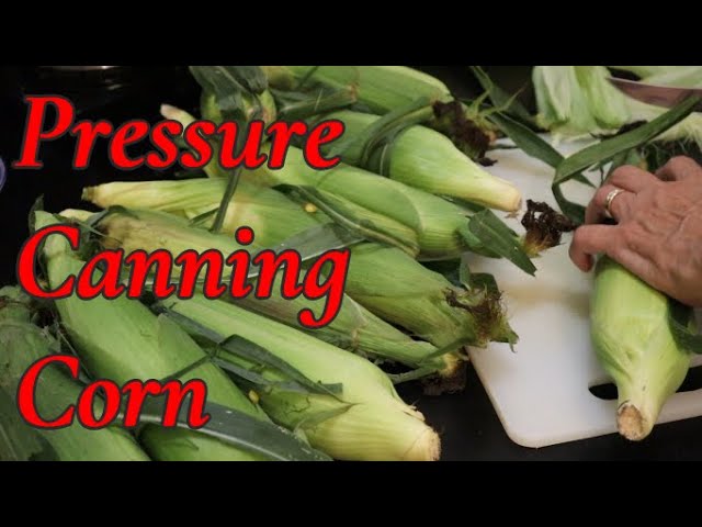 Pressure Canning Corn - Working On My Goal To Fill All My Jars