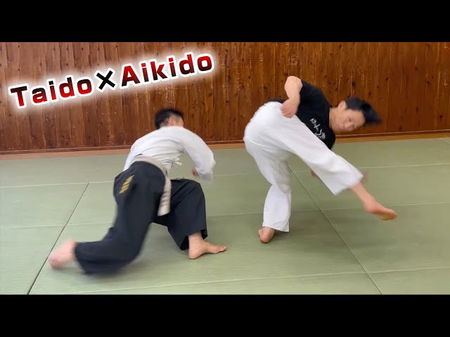 Aikido Master learns Kick of Taido! "MANJI KICK" 【Taido】