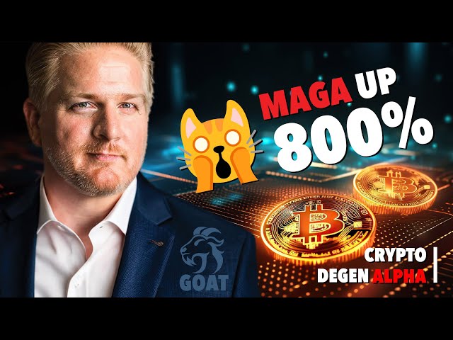 Crypto Degen Alpha 🤑 #maga UP +800%