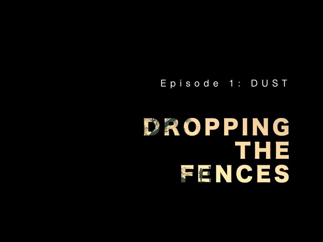 Dropping the Fences (episode 1) - DUST