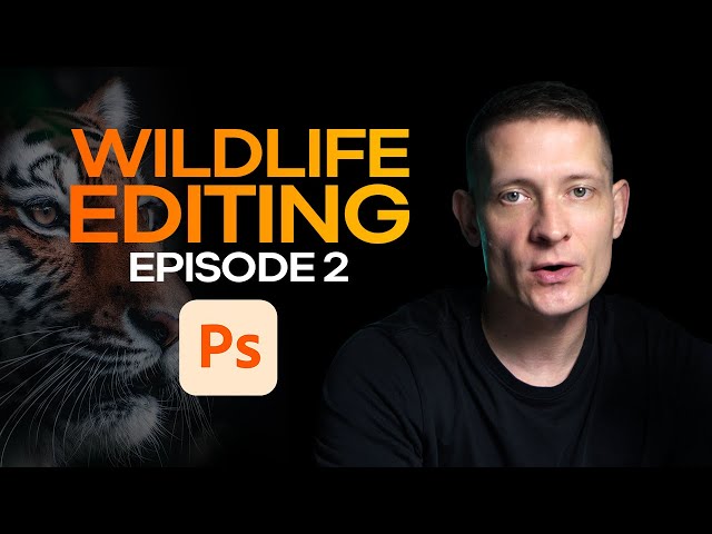 Editing Your Wildlife Photos (Episode 2)