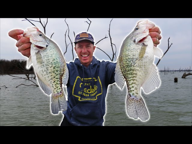 Fishing Pre Spawn Crappie in Timber using Tube Jigs