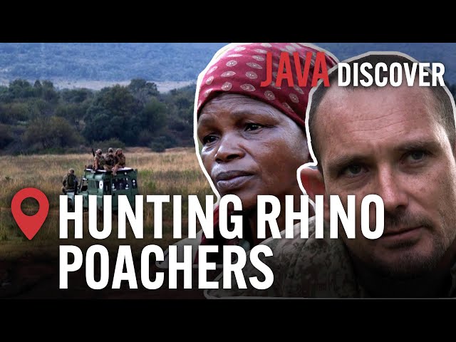 Fighting the Rhino Trade Mafia: The Militias Racing to Save South Africa's Wildlife | Documentary