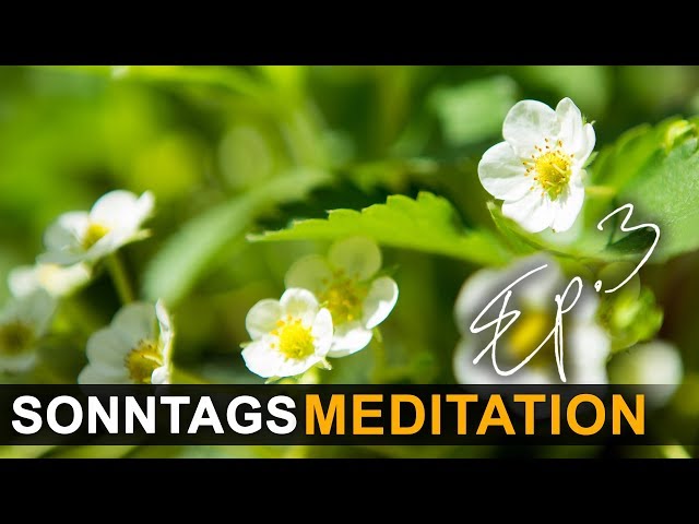 Geführte Meditation - Sonntags Meditation Episode 3