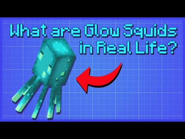 What are Glow Squids in Real Life? - Minecraft