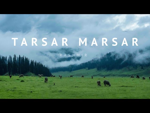 The most beautiful trek of KASHMIR | EP4 | Ankit Bhatia