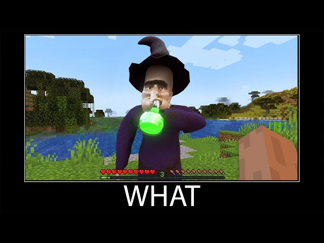 Minecraft wait what meme part 292 realistic minecraft Witch
