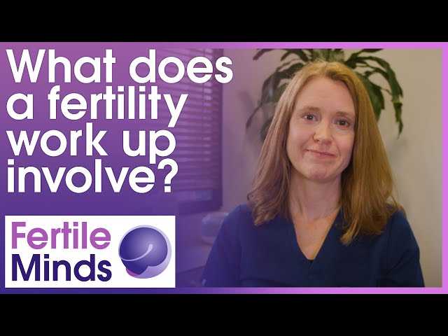 What Does a Fertility Work Up Involve? - Fertile Minds