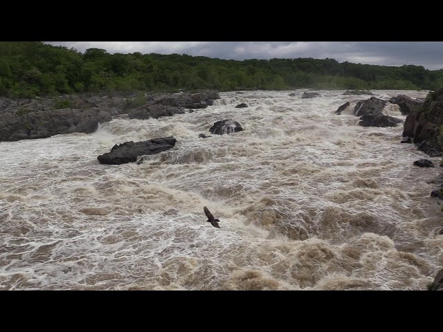 Soundscape: Great Falls (High Water)