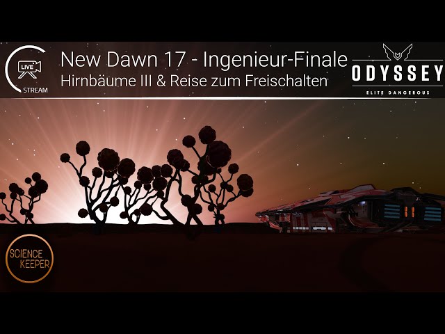 LIVE: New Dawn 17 - Hirnbaum Sammelaktion III und das Ingenieurs-Finale steht an - mit Let's Chat