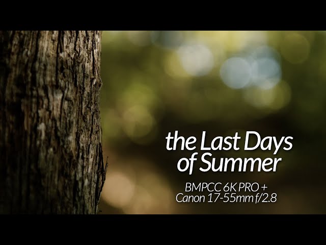 the Cinematic Last Days of Summer // BMPCC 6K Pro + Canon Ef-s 17-55mm f/2.8 IS USM