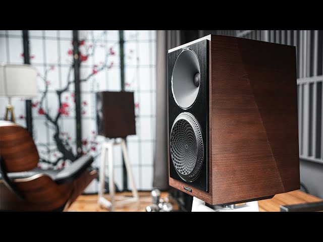 Goosebumps with Paradigm Founder 40B Speakers in my Home Sound System !