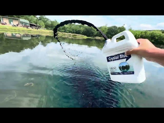 How to Get Rid of ALGAE and GRASS in Your POND